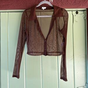 Sheer Brown Top